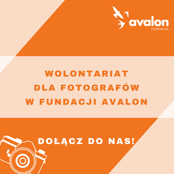 Na grafice ikona aparatu fotograficznego oraz napis Wolontariat dla fotografów w Fundacji Avalon. Dołącz do nas!