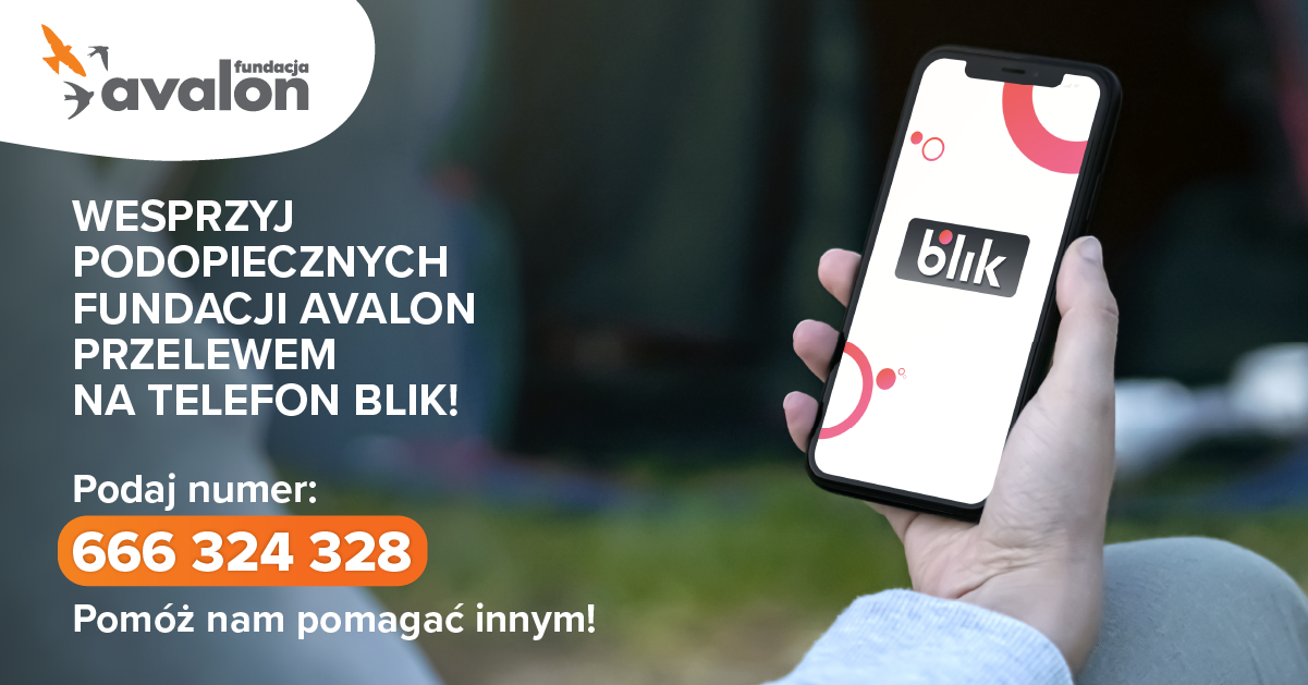 Na grafice ręka trzymająca telefon z logotypem BLIKa, napis: wesprzyj podopiecznych Fundacji Avalon przelewem na telefon BLIK! Podaj numer: 666 324 328, Pomóż nam pomagać innym!